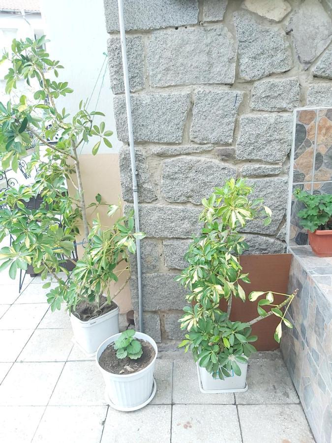 Kyshta Za Gosti Dari Rumi 1 Sozopol Exteriör bild
