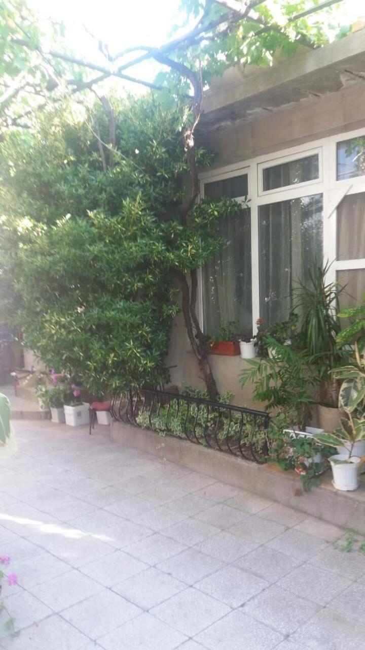 Kyshta Za Gosti Dari Rumi 1 Sozopol Exteriör bild